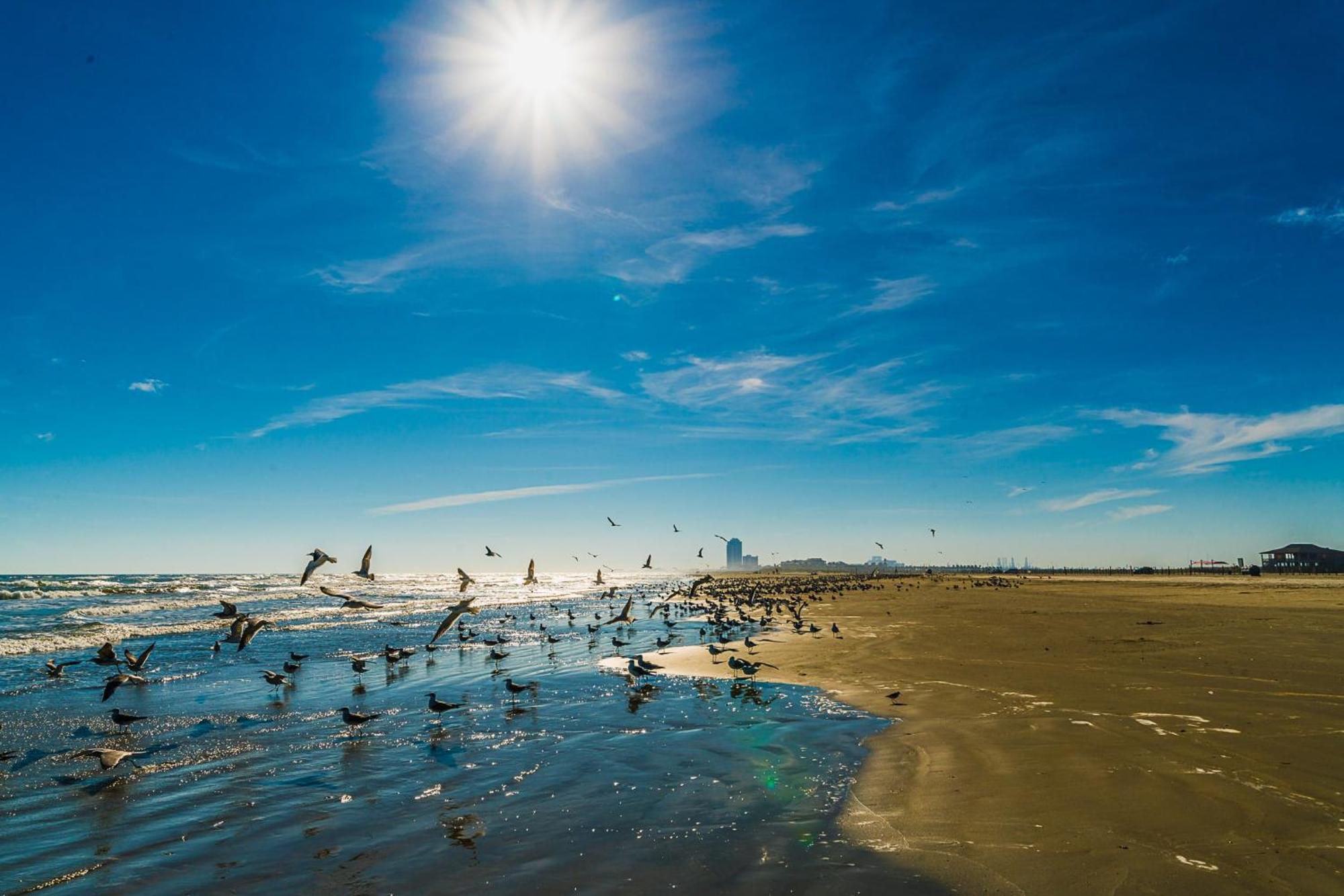 Beachside Paradise Retreat With Luxury Villa Galveston Buitenkant foto